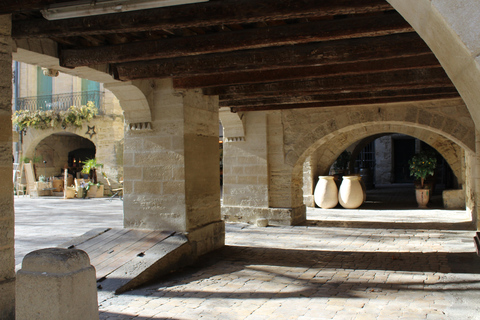 Vanuit Avignon : Hele dag Romeinse bezienswaardigheden en historische plaatsen