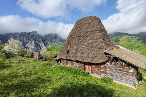 From Bucharest: 7-Day Guided Tour of Romania