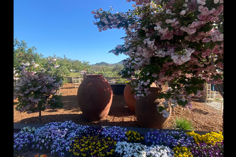 Casablanca: esperienza privata di un&#039;intera giornata all&#039;insegna del benessereCasablanca: un&#039;esperienza privata di un giorno intero all&#039;insegna del relax