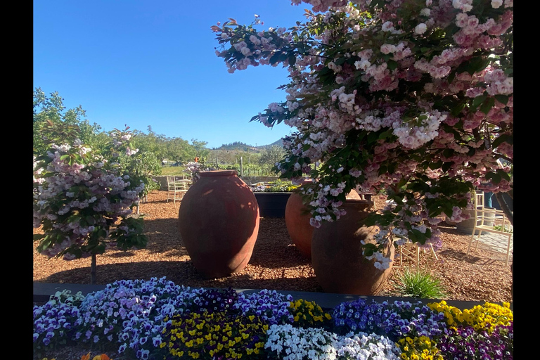 Casablanca: esperienza privata di un&#039;intera giornata all&#039;insegna del benessereCasablanca: un&#039;esperienza privata di un giorno intero all&#039;insegna del relax
