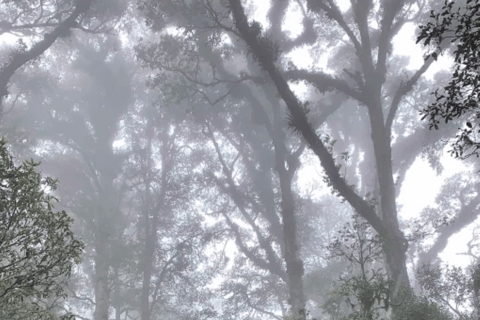 San Cristóbal de las Casas: Hiking on Huitepec Volcano