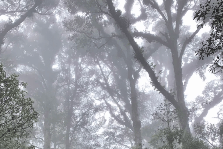 San Cristóbal de las Casas: Hiking on Huitepec Volcano