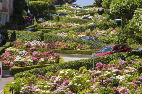 San Francisco: Highlights Tour with Guide
