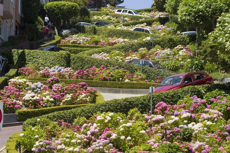 San Francisco: Highlights Tour with Guide