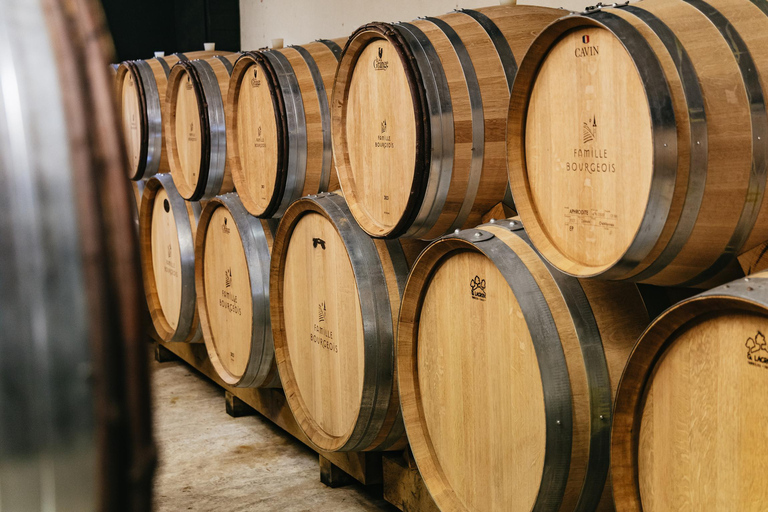 From Paris: Private Sancerre Wine Tour w 10 Tastings & Lunch