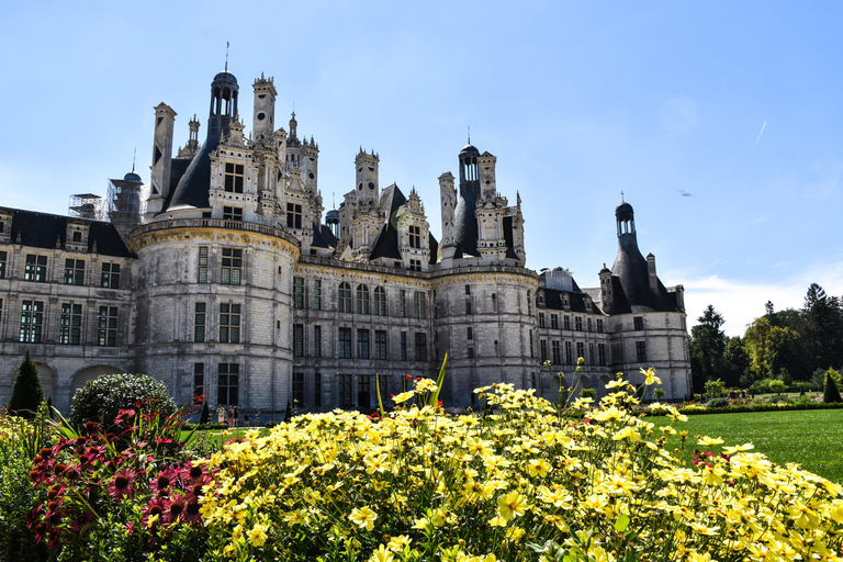 Loire Valley: Castles & Countryside Horseback Ride + Lunch