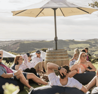 Waiheke Island, visita guidata del vino boutique con vino e viste - Hizvo
