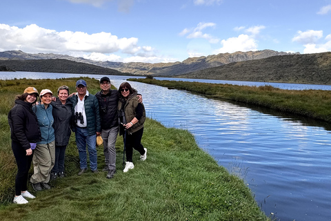 Private sight Tour Chingaza Paramo from Bogota, Andean BearPrivate sighting Tour in Chingaza Paramo, Andean Bear