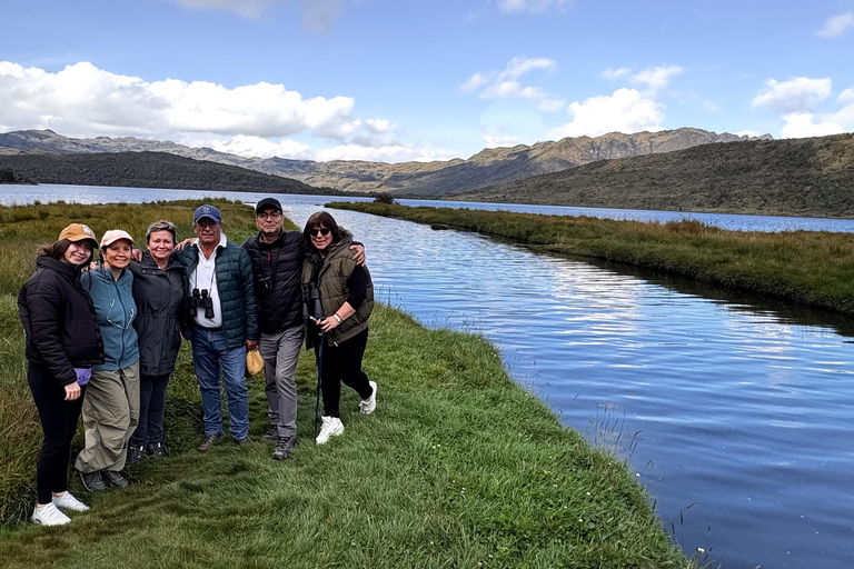 Private sight Tour Chingaza Paramo from Bogota, Andean BearPrivate sighting Tour in Chingaza Paramo, Andean Bear