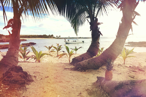 De Colombo: Excursão de 10 dias ao Sri Lanka com guia e hotel