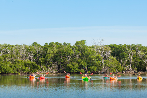 Excursión vespertina en velero, snorkel, kayak y puesta de sol en Cayo Hueso