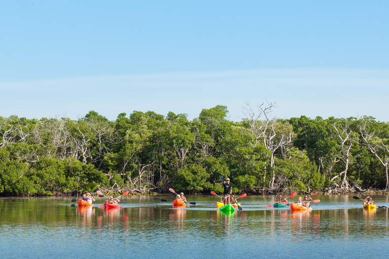 Excursão de vela, mergulho com snorkel, caiaque e pôr do sol em Key West à tarde