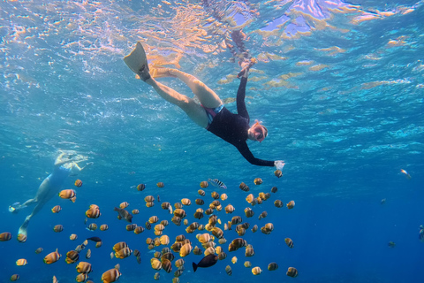 Nusa Penida: Snorkeling Adventure 3-Spots with Manta Rays Nusa Penida: Snorkeling Manta Point 3-Spots with Manta Rays