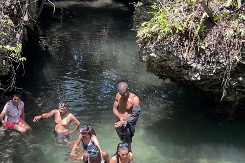 Nadar com tartarugas no Aquário Natural