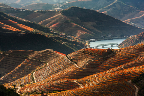 From Porto: Douro Valley w/ Boat Tour, Wine Tasting & Lunch Tour in French with Hotel Pickup