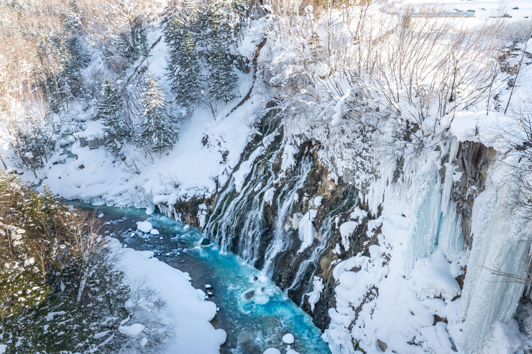 Sapporo: Hokkaido Biei Best 5 Photo Spots Day Tour Shared Tour, Meet at Odori Station