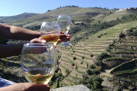 From Porto: Wine Trip w/ Tastings, Chef's Lunch & Boat Tour