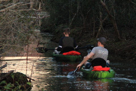 Orlando: Sunset guided kayaking tour