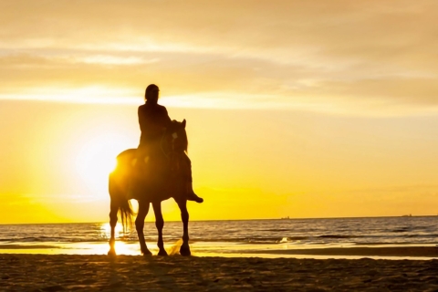 Cartagena: Paardrijtocht langs het strand bij zonsondergang