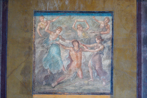 From Sorrento: Pompeii Skip-the-Line, Train Tkt & Tour