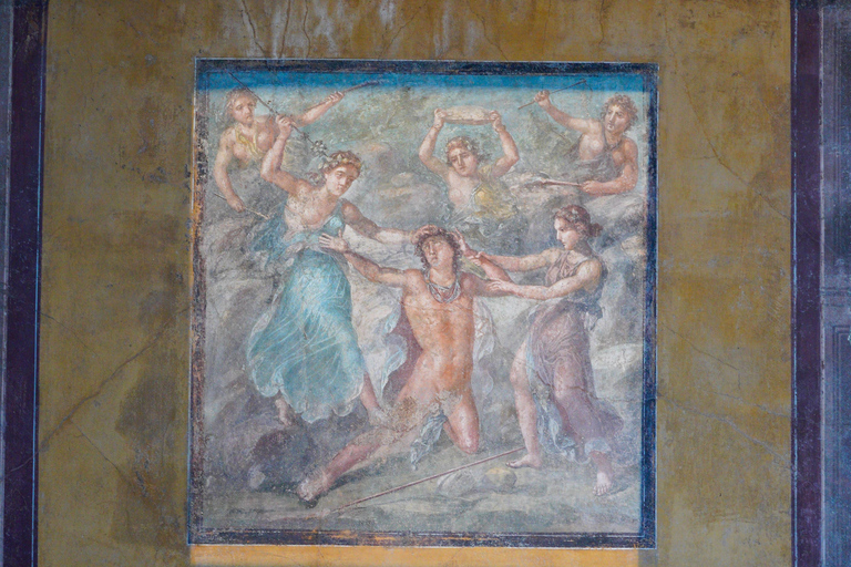 From Sorrento: Pompeii Skip-the-Line, Train Tkt & Tour
