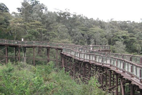 Nairobi Animal Orphanage, SafariWalk and Kenya Bomas Tour