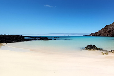 IMMERSIONI A MOSQUERA - TESORI SUBACQUEI DELLE GALAPAGOS