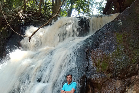 Nairobi: tour guiado a pie por el bosque de Karura
