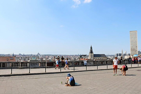 Brussels From Above and Waffle Tasting at Place Louise