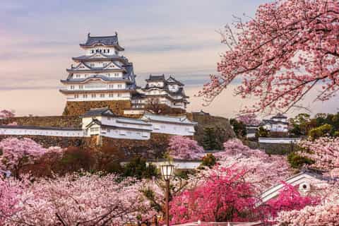 大阪市から姫路城への日帰りツアー | GetYourGuide