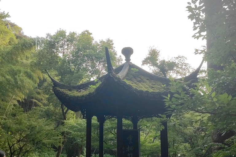 Hangzhou Jiuxi, Shililangdang & Yunqi Day Hiking Tour