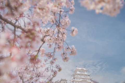 Tokyo: Mt. Fuji & Gotemba Premium Outlets Private Day Tour