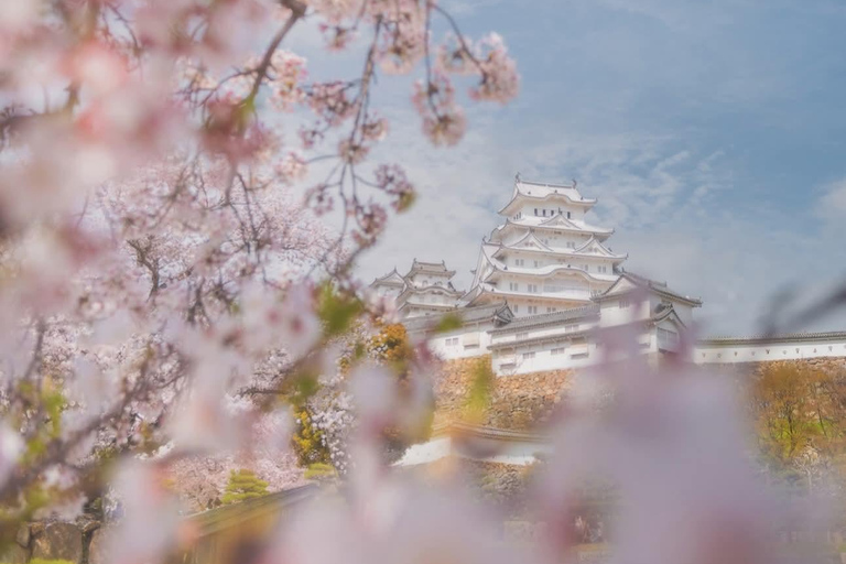 Tokyo: Mt. Fuji & Gotemba Premium Outlets Private Day Tour