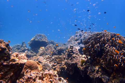 Phuket: Scuba Diving Try Dive with Hotel Pickup