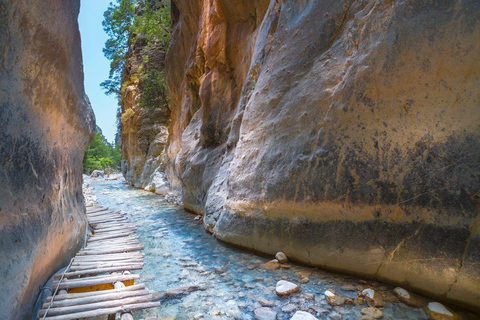 Från Chania: Samaria Gorge med professionell vandringsguide