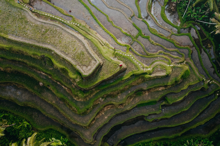 Wanderlust birthday photo and video with drone and Editing Photo and video with drone (Without Flower Pool & Pool)
