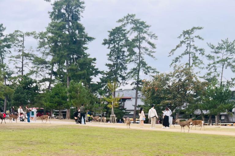 Osaka & Nara: Private Tour with English speaking guide Osaka & Nara: Couple friendly tour with vehicle and guide