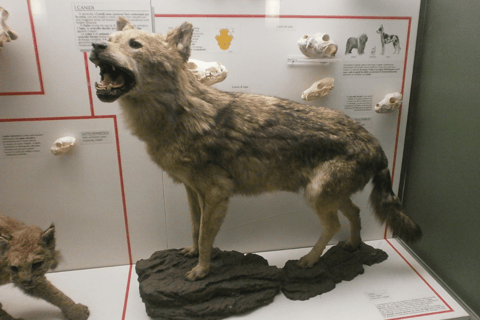 Milan: Natural History Museum Entry Ticket & Audio Guide