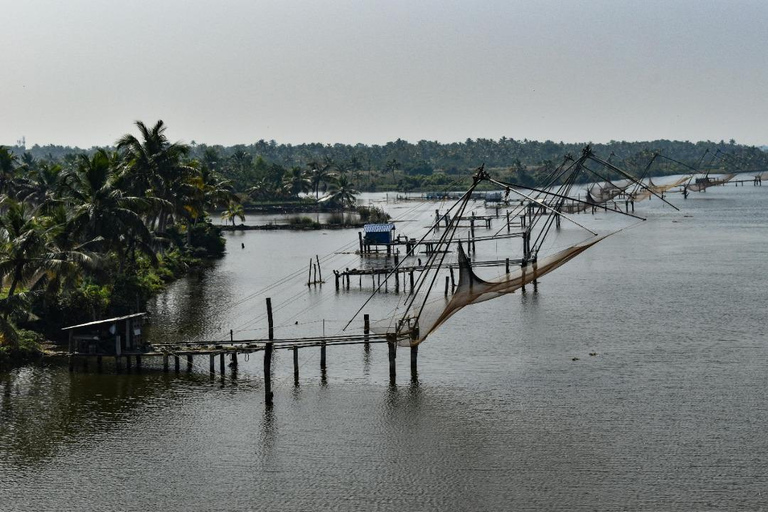 Kochi: 3-Day Kerala Tour with Munnar and Alleppey Cruise