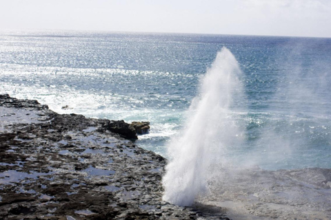 From Waikiki: Oahu Scenic Half-Day Circle Island Tour