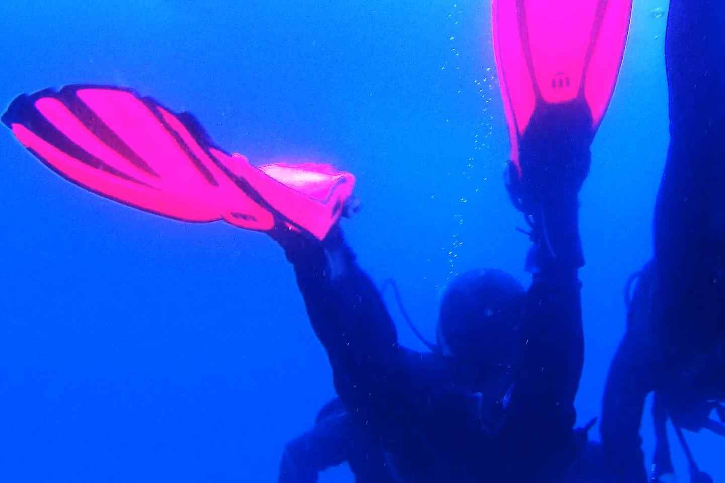 Mi primera inmersión de buceo en el Océano desde Sao Miguel