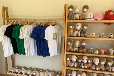 From Baku: Alpaca Farm Tour with Transfers