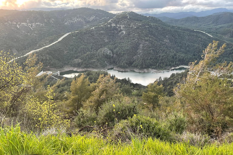 From Paphos: Troodos 4x4 Safari with Picnic & Winery visit