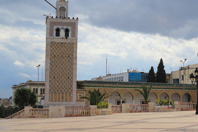From Hammamet: Day trip to Tunis, Medina & Sidi Bou Saïd + Lunch From Hammamet: Day trip to Tunis, Medina & Sidi Bou Said + Lunch