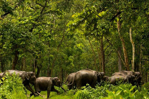 Kwale: Private day tour to Shimba Hills with Picnic lunch