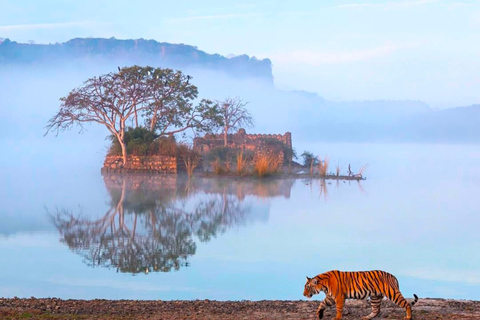 Vanuit Jaipur : 2 Dagen 1 Nacht Ranthambore Tijgersafari TourTour alleen met AC Auto &amp; Chauffeur