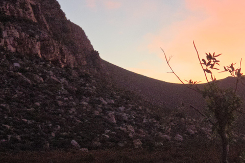 Cape Town: Cruise Passengers sunset Safari & Wine Tour