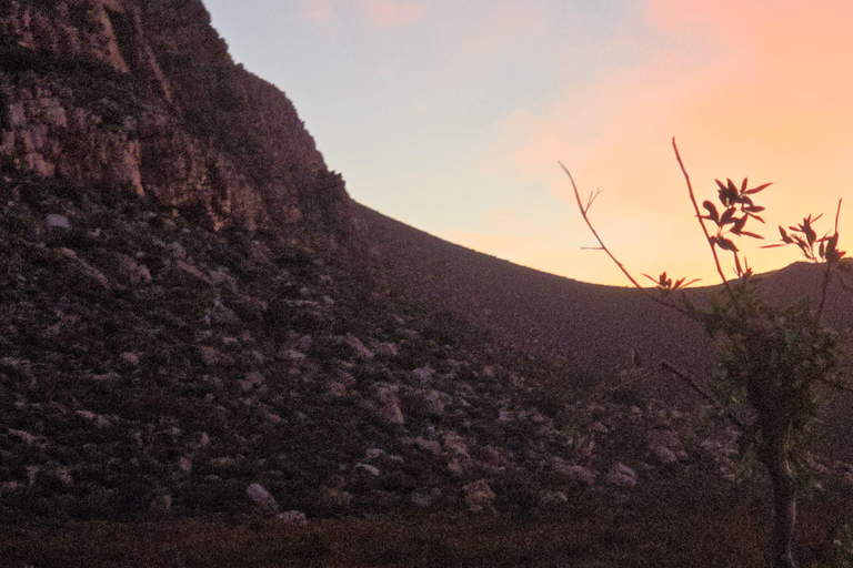Cape Town: Cruise Passengers sunset Safari & Wine Tour