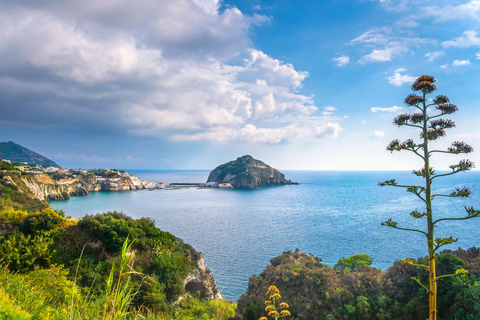 Naples: Boat Excursion to Ischia and Procida with Lunch