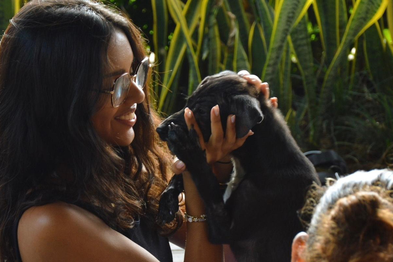 Bali: Canggu Puppy Yoga Class with Refreshing Drinks